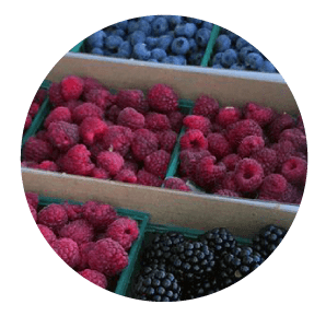 Bozeman Farmers Market Vendors - Fresh Produce