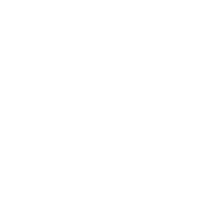 Bozeman Farmer's Market