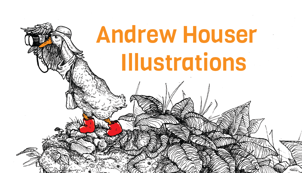 Andrew Houser Illustrations