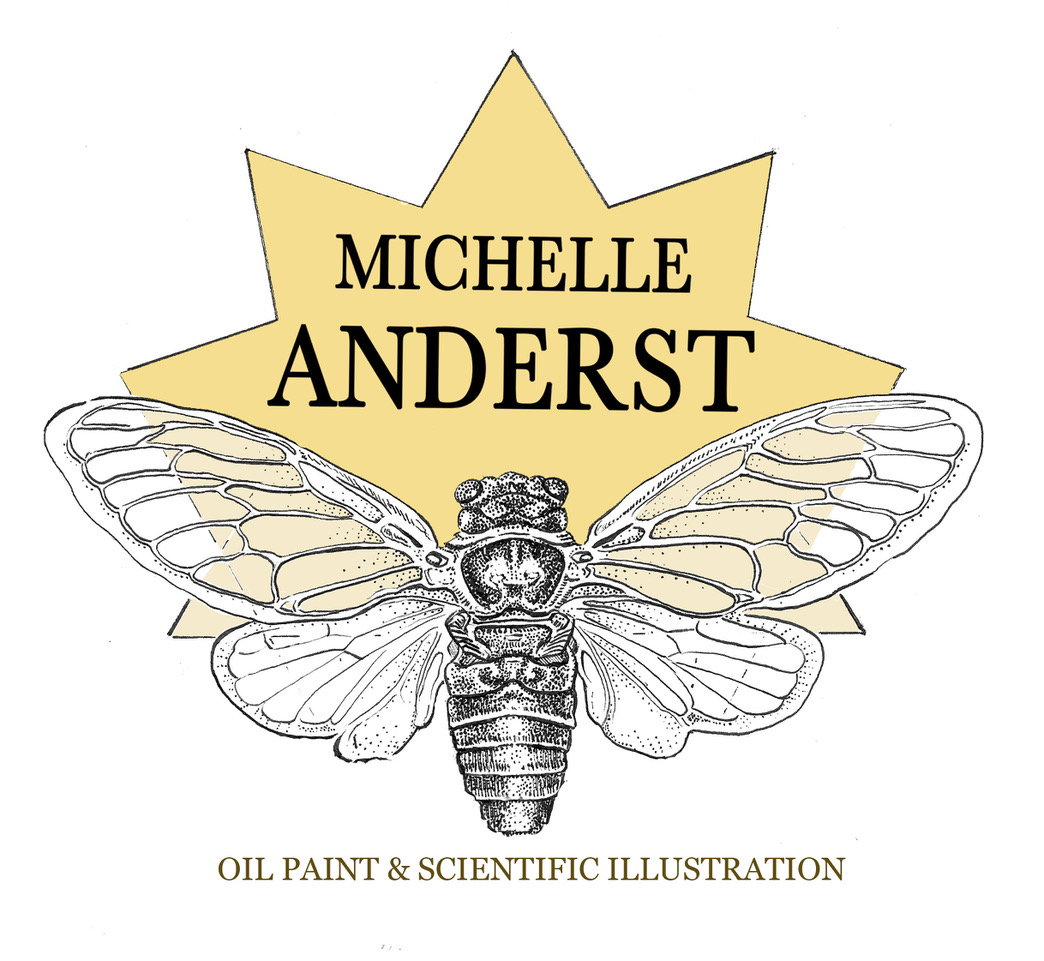 Michelle Anderst